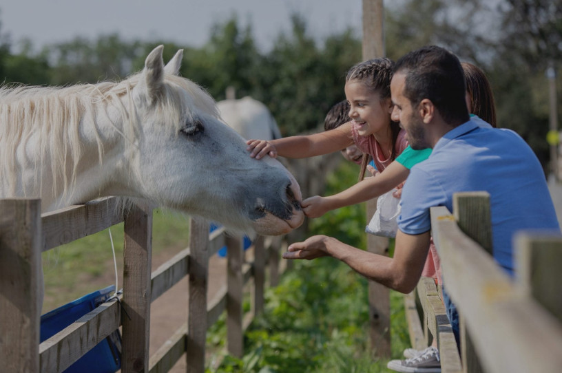 Newham Grange Farm