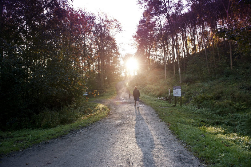 Guisborough Forest Walking Path