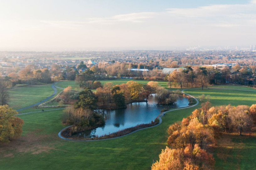 Stewart Park - Michael Lazenby