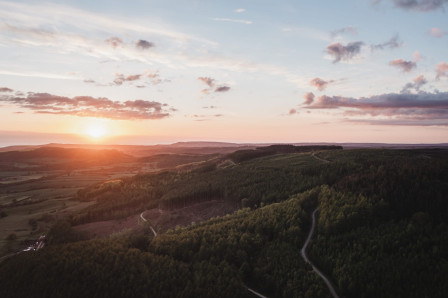 View from Guisborough Forest